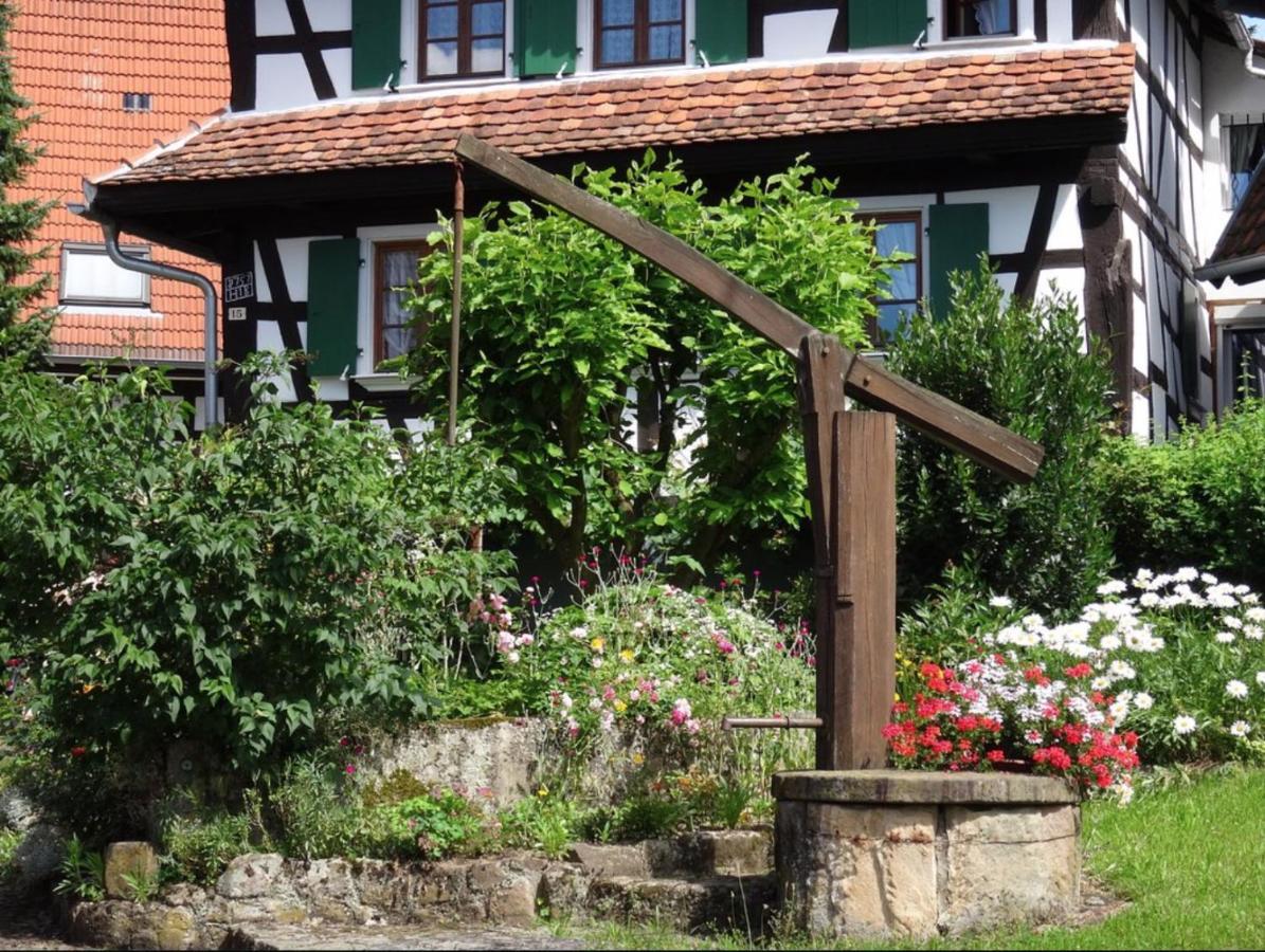Gites Et Chambres D'Hotes Maison Ungerer Hunspach Ngoại thất bức ảnh
