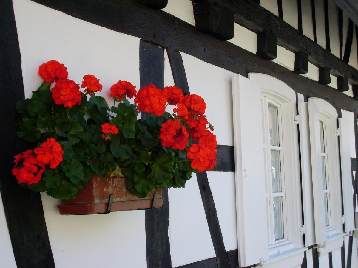 Gites Et Chambres D'Hotes Maison Ungerer Hunspach Ngoại thất bức ảnh