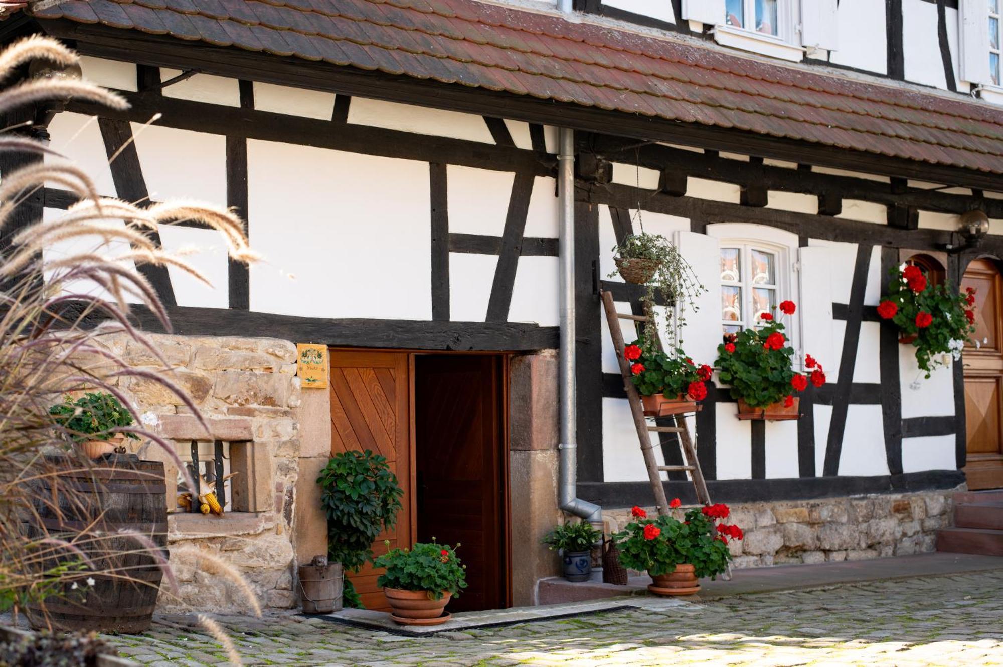 Gites Et Chambres D'Hotes Maison Ungerer Hunspach Ngoại thất bức ảnh