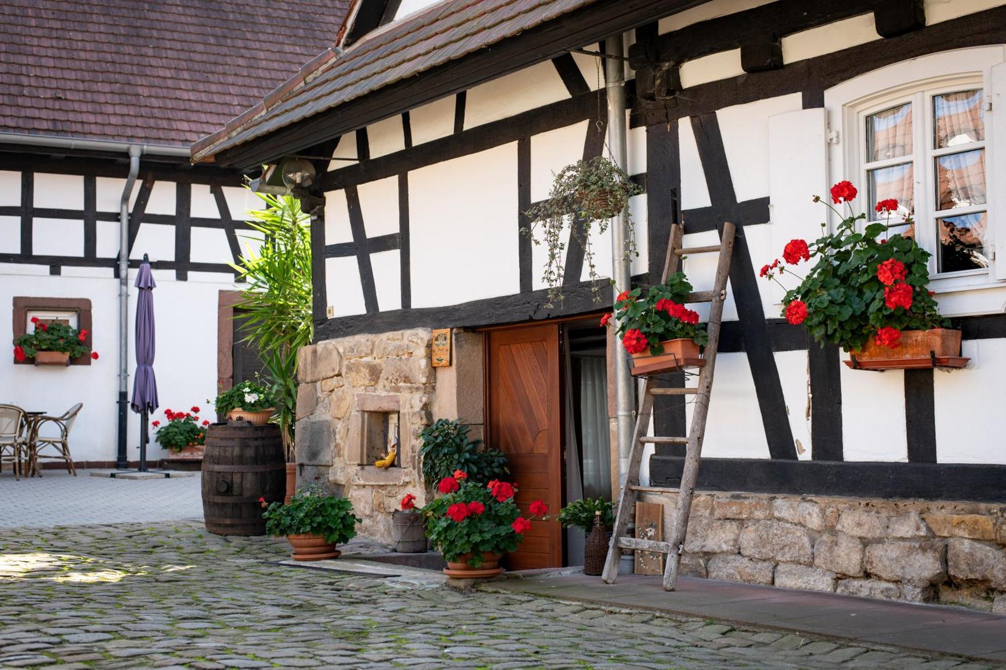 Gites Et Chambres D'Hotes Maison Ungerer Hunspach Ngoại thất bức ảnh